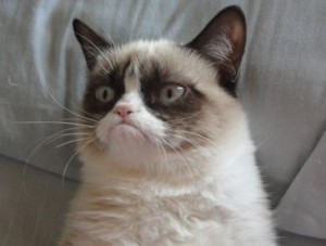 Grumpy Cat Original