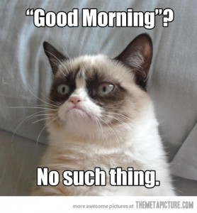 Grumpy Cat Meme